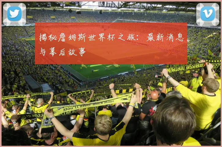 揭秘詹姆斯世界杯之旅：最新消息与幕后故事